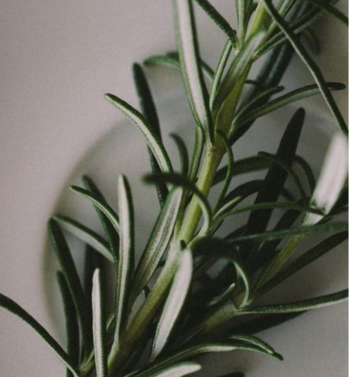 Hero Banner 2